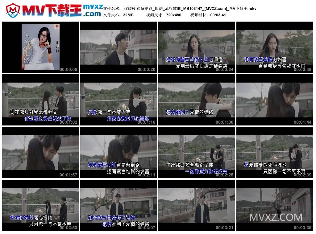 雨霖枫-这条绝路_国语_流行歌曲_MB108147